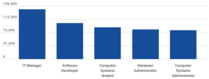 Highest average salaries among IT professions